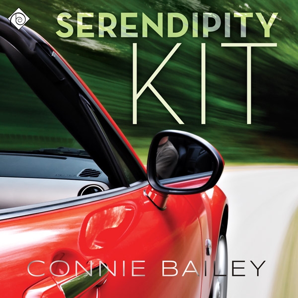 Serendipity Kit