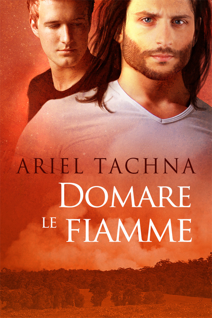 Domare le fiamme